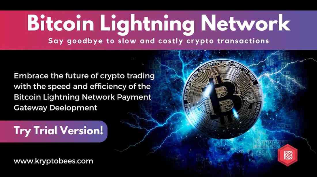 Bitcoin lightning network payment gateway development